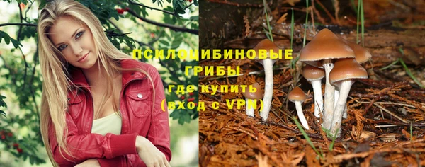 мет Кострома