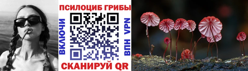 продажа наркотиков  Электроугли  Псилоцибиновые грибы GOLDEN TEACHER 